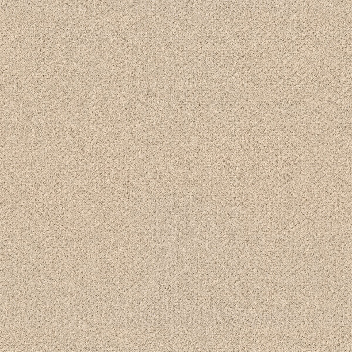 Shaw DEPARTURE carpet