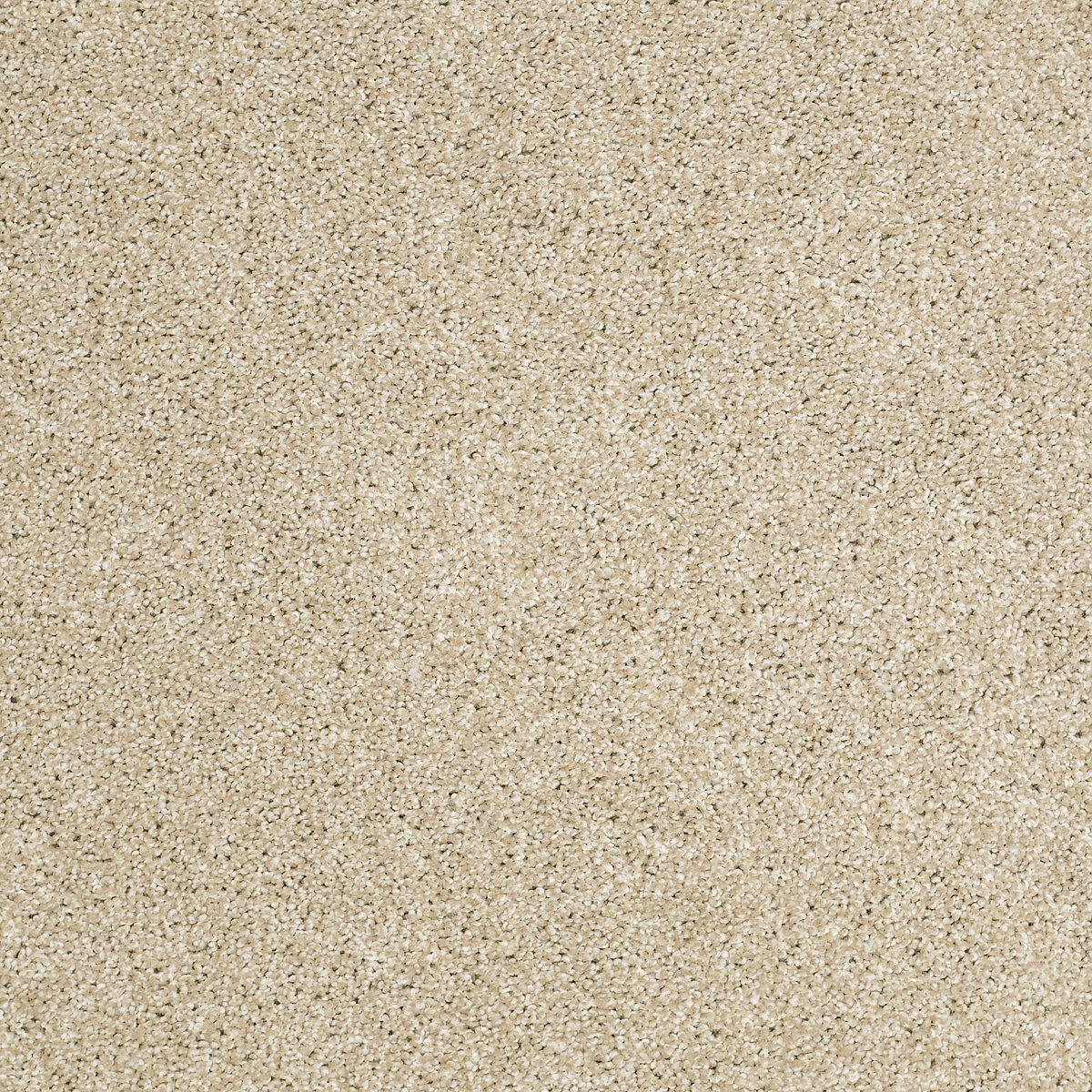 Shaw CANVAS carpet