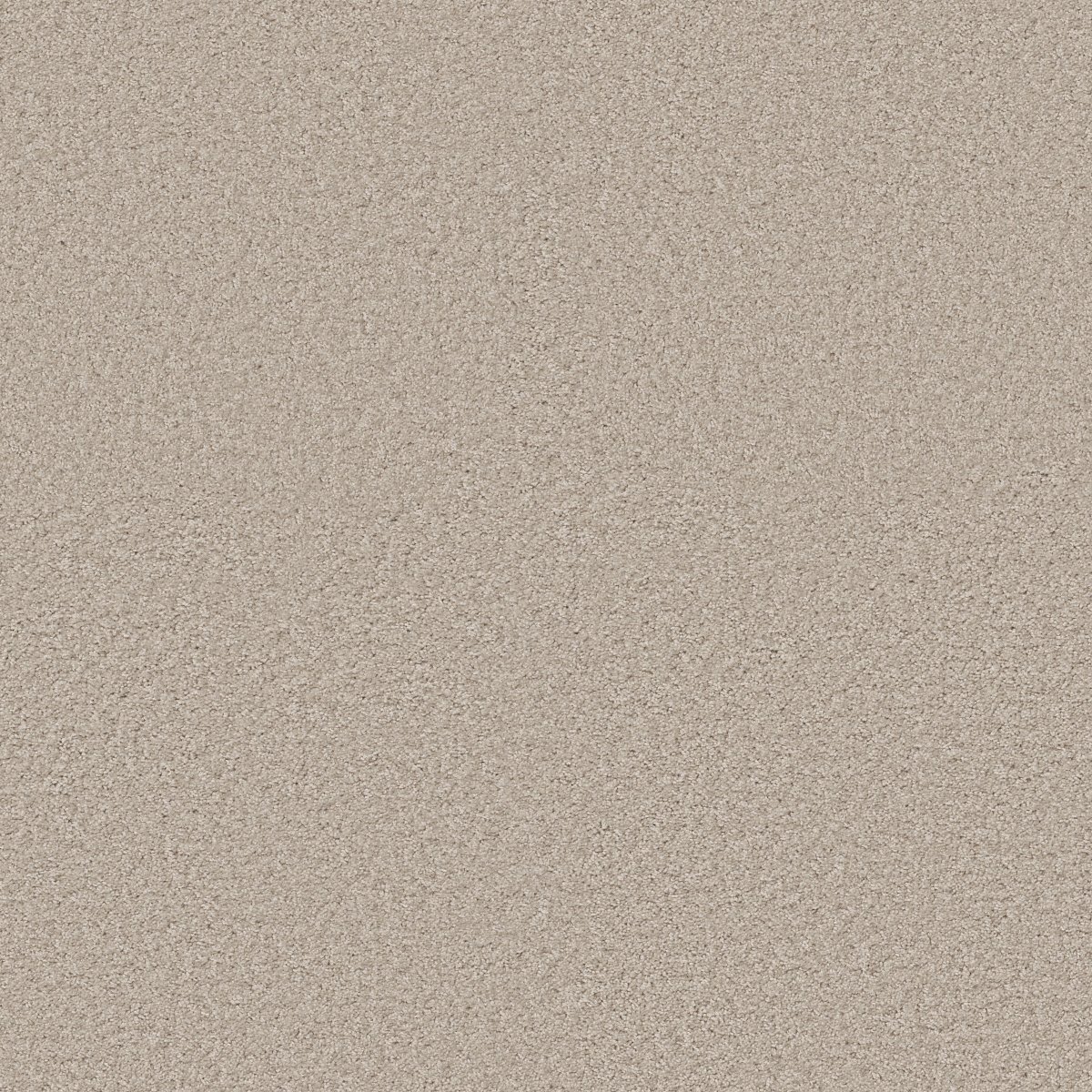 Shaw KENTLAND 12' carpet