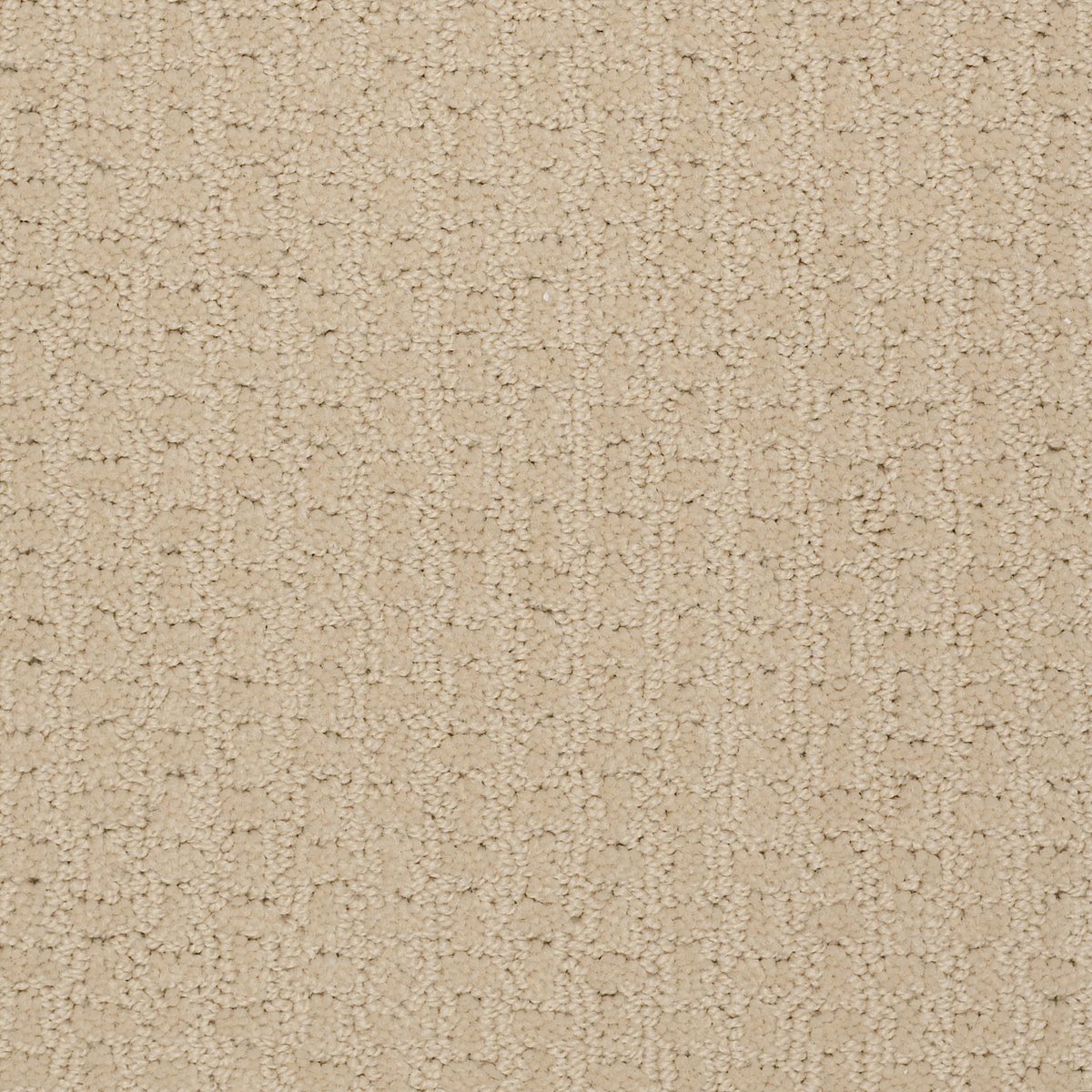 Shaw PROPEL carpet