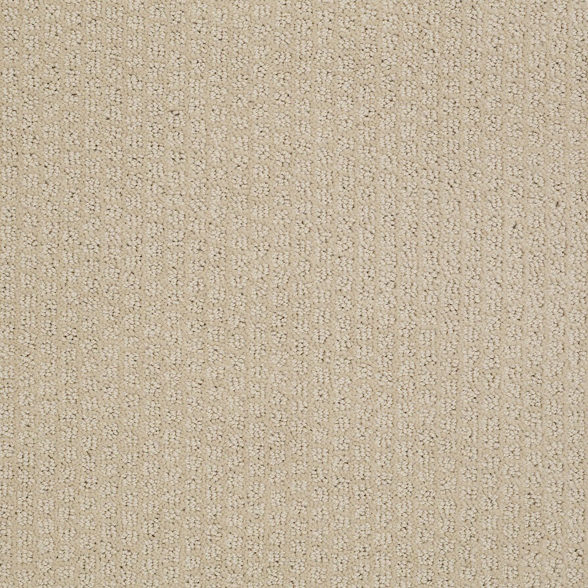 Shaw QUINTERO carpet