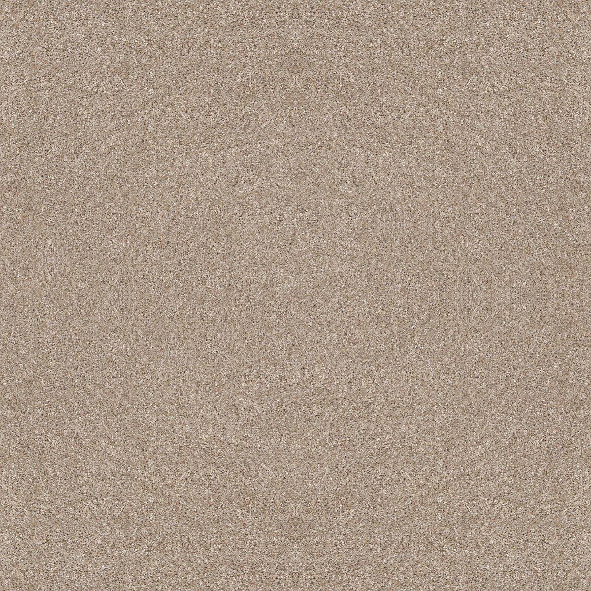 Shaw AFTER IT I carpet
