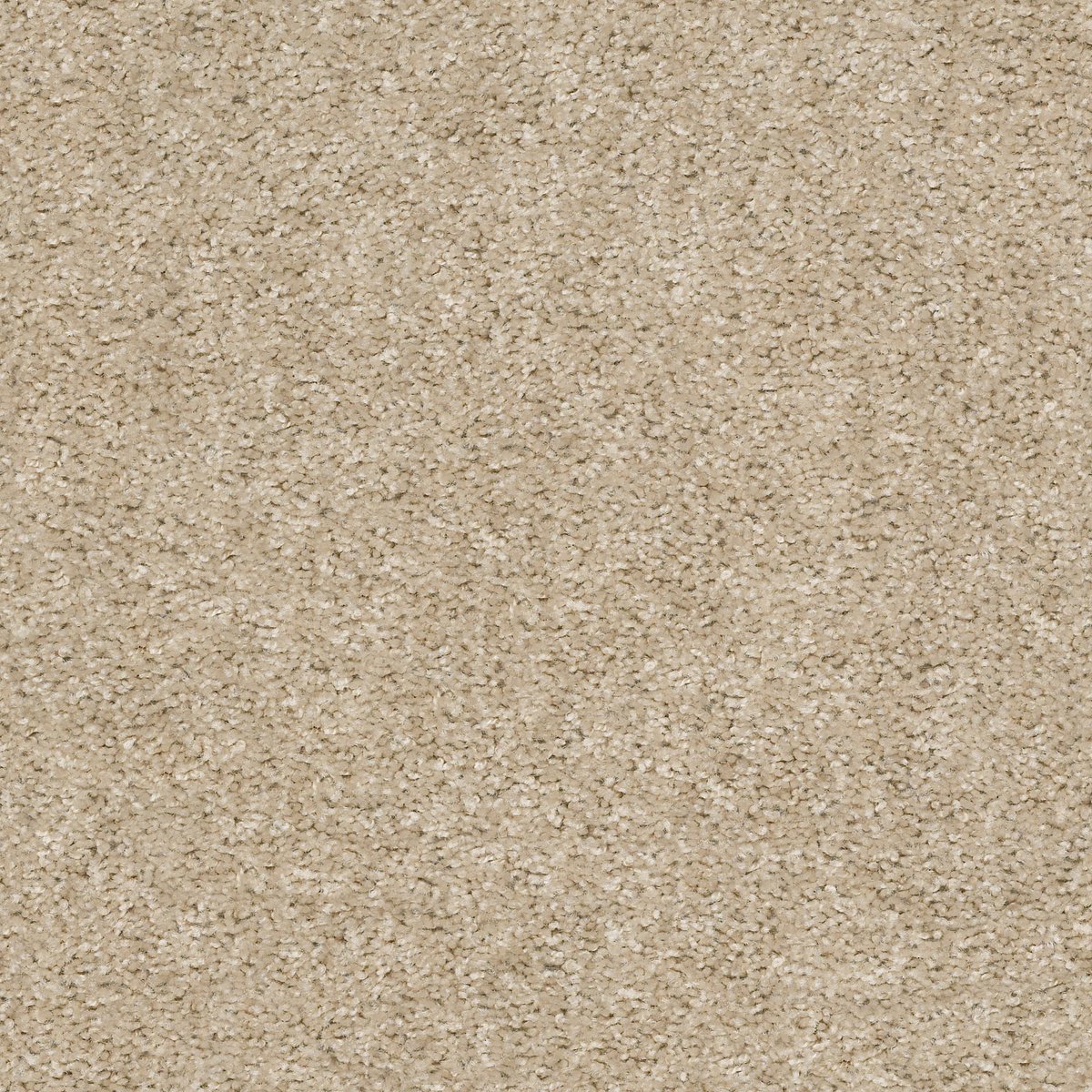 Shaw VALIANT carpet