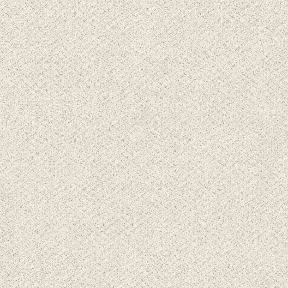 Shaw FORMALIZE carpet