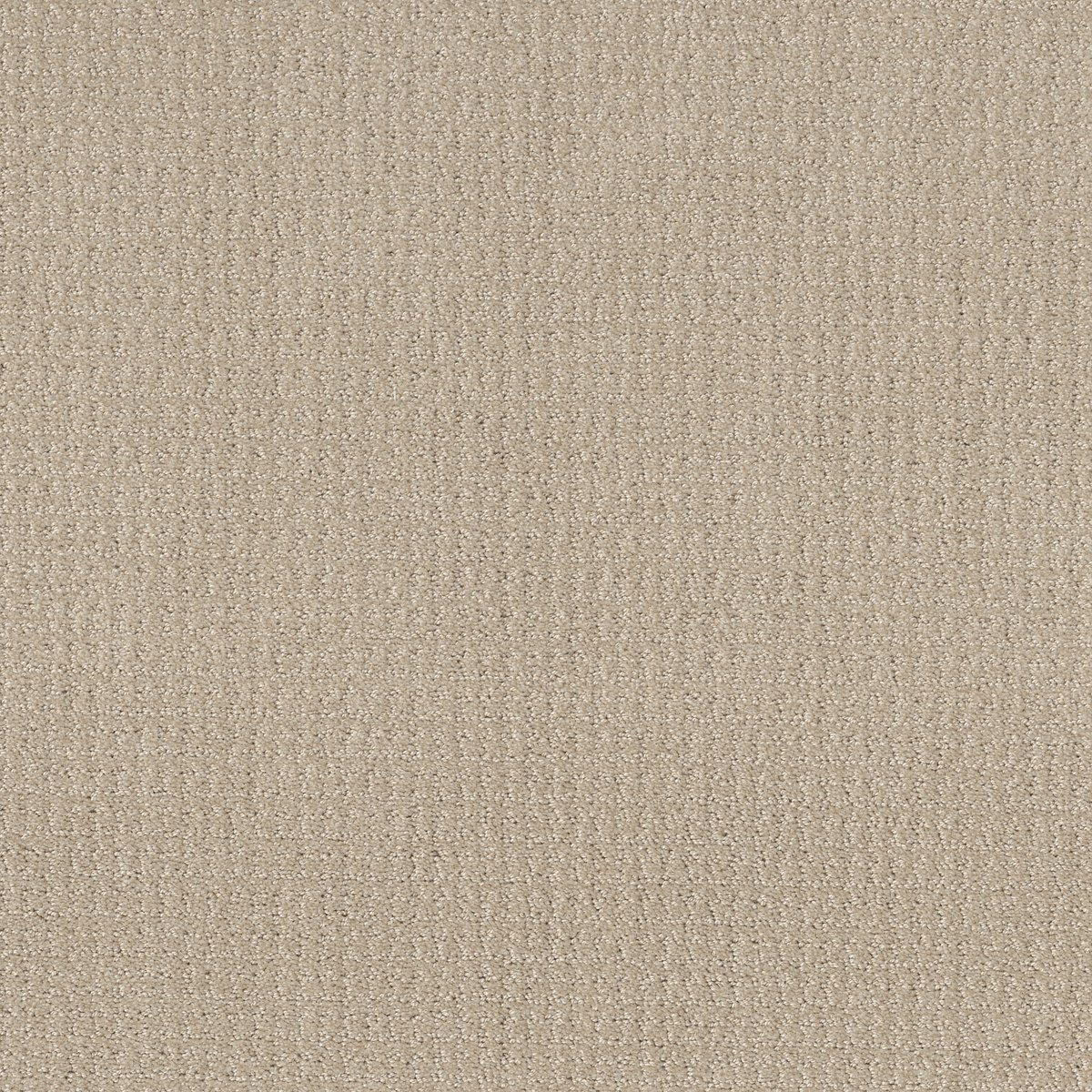 Shaw TRANSLATE carpet