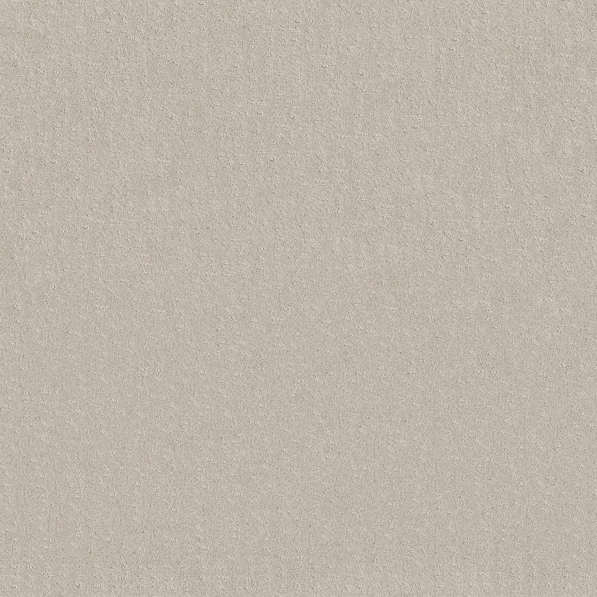 Shaw CHIC NUANCE carpet