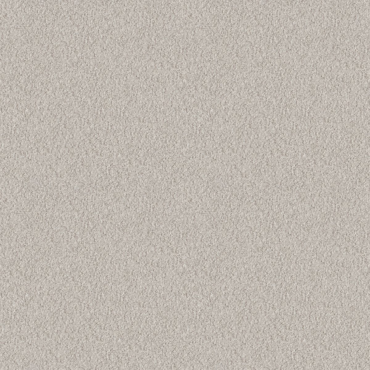 Shaw ALLURING CANVAS carpet