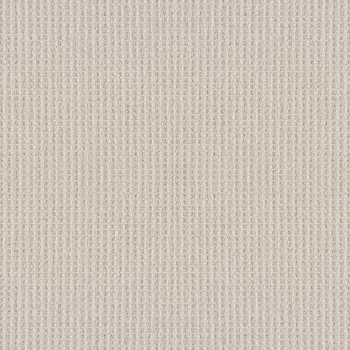 Shaw FRAMED VIEW carpet