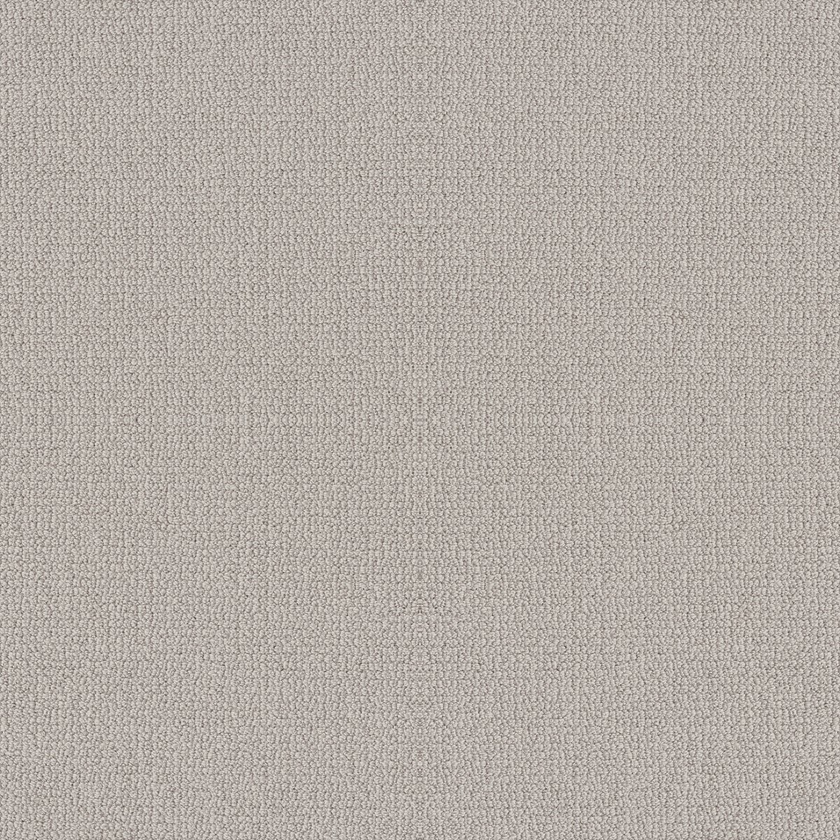 Shaw EMBELLISHED carpet
