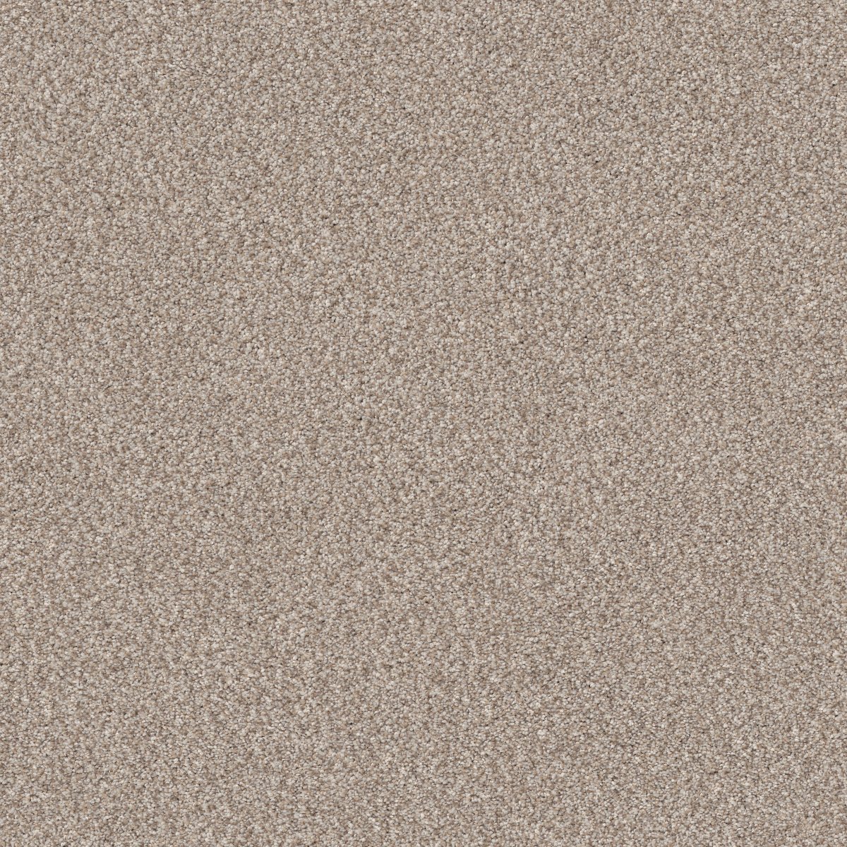 Shaw TruSpirit II carpet