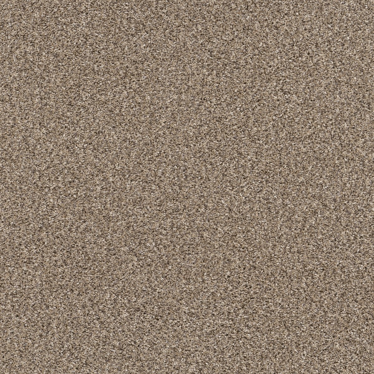 Shaw YES YOU CAN II 12' carpet