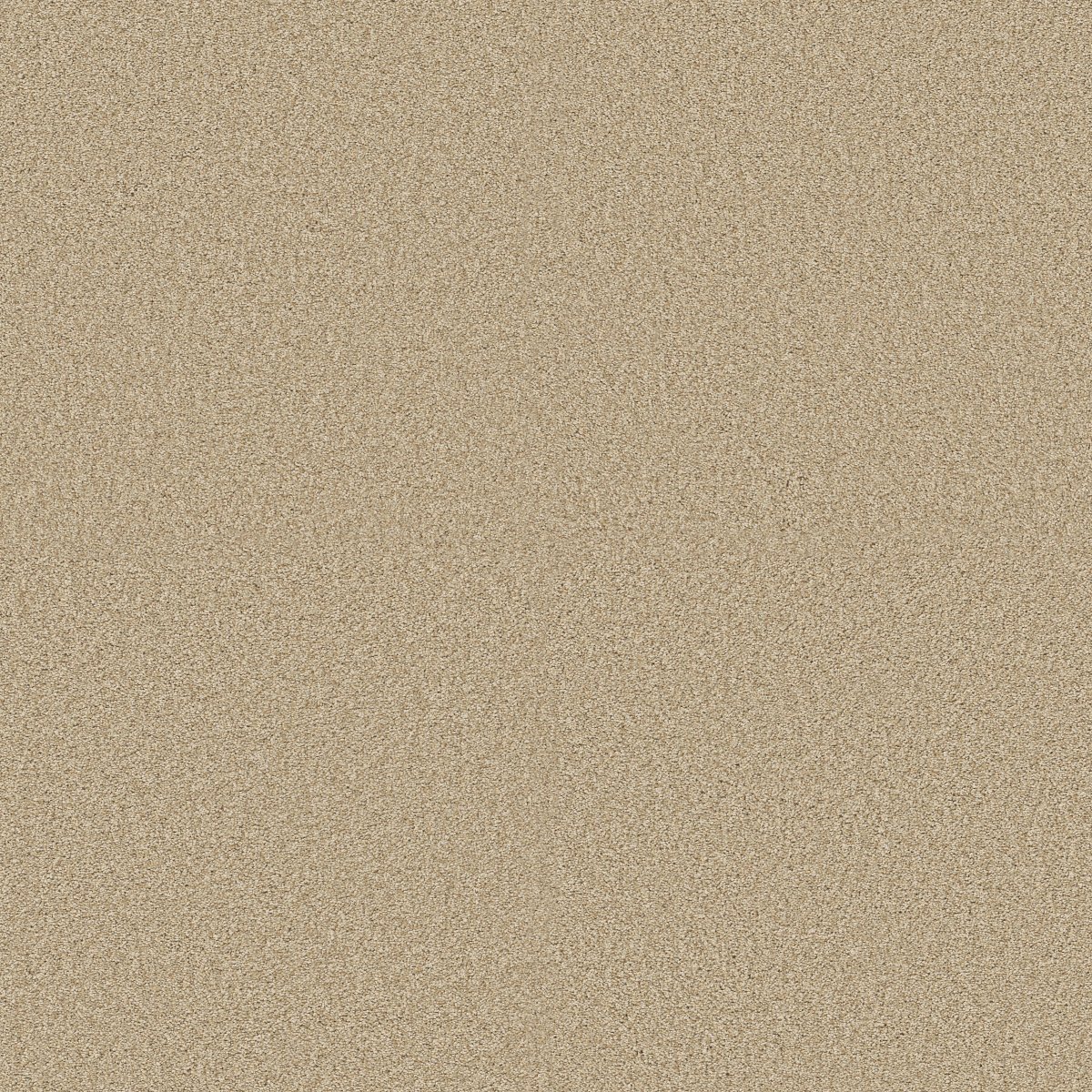 Shaw TONAL COMFORT II carpet
