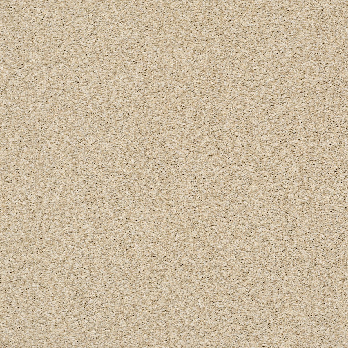 Shaw TONAL COMFORT BLUE carpet