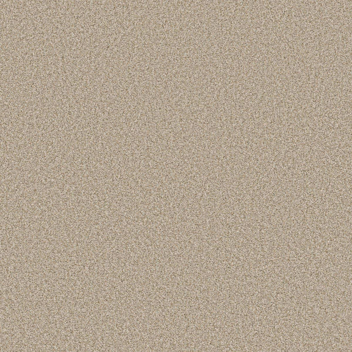 Shaw TWEED COMFORT II carpet