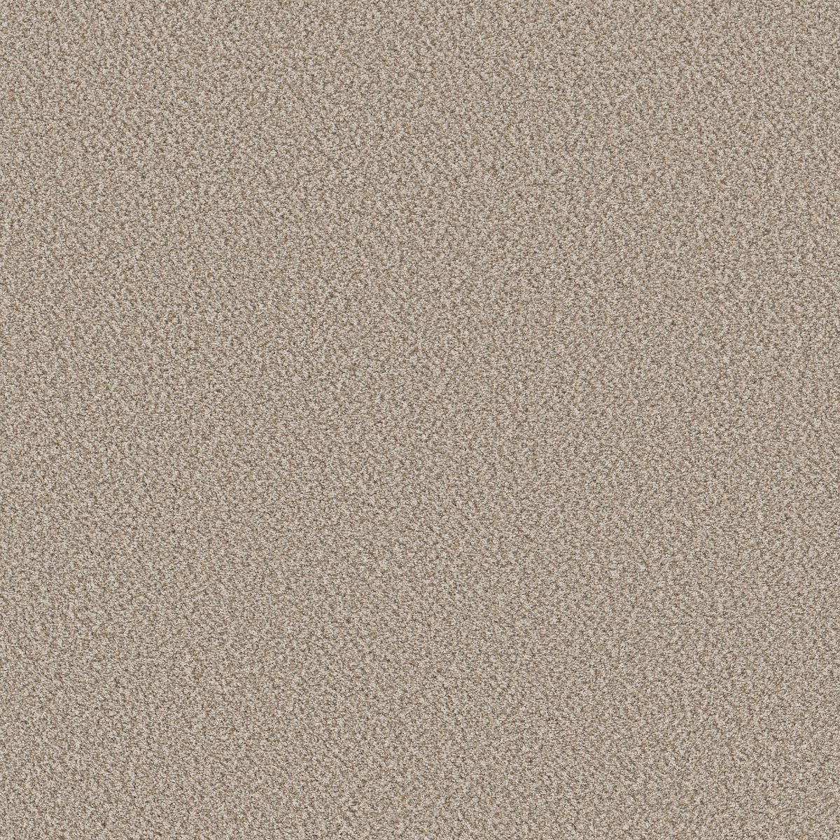 Shaw BEST YET carpet