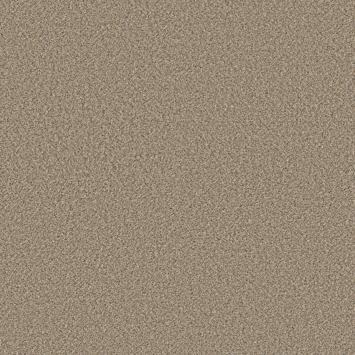 Shaw HIGH IMPACT B carpet