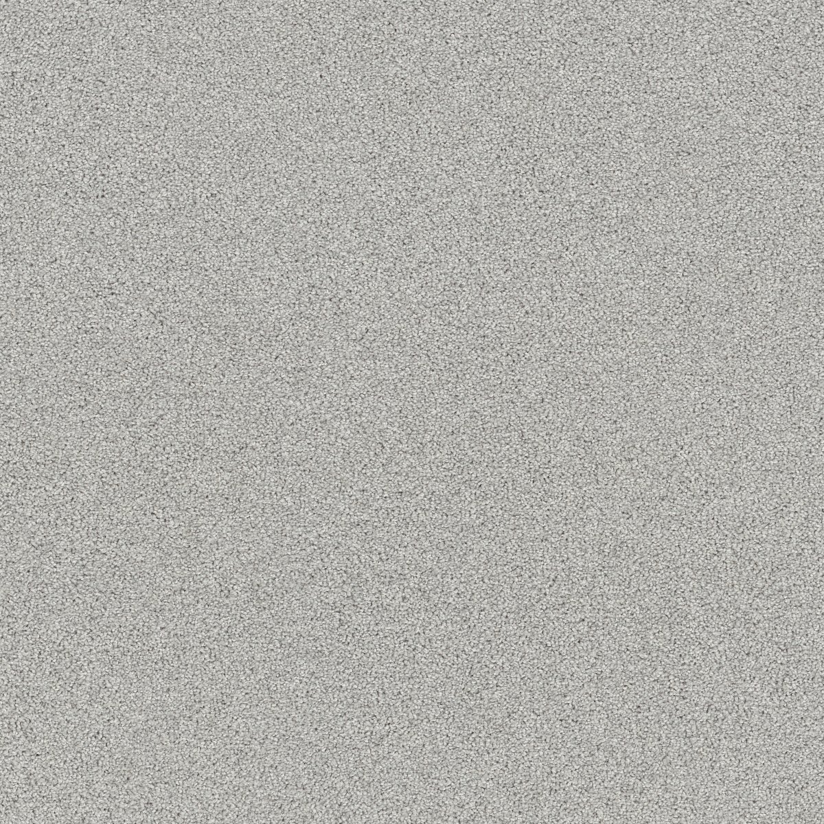 Shaw AFFIRMATION I carpet