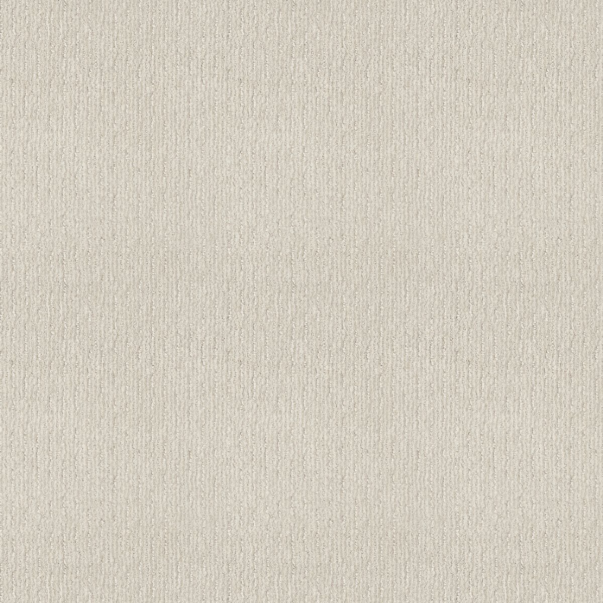 Shaw CEDAR CITY carpet