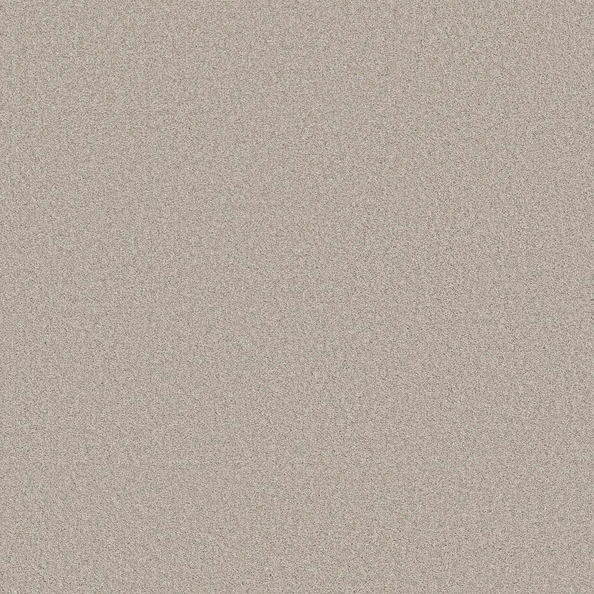 Shaw DEL RIO II carpet