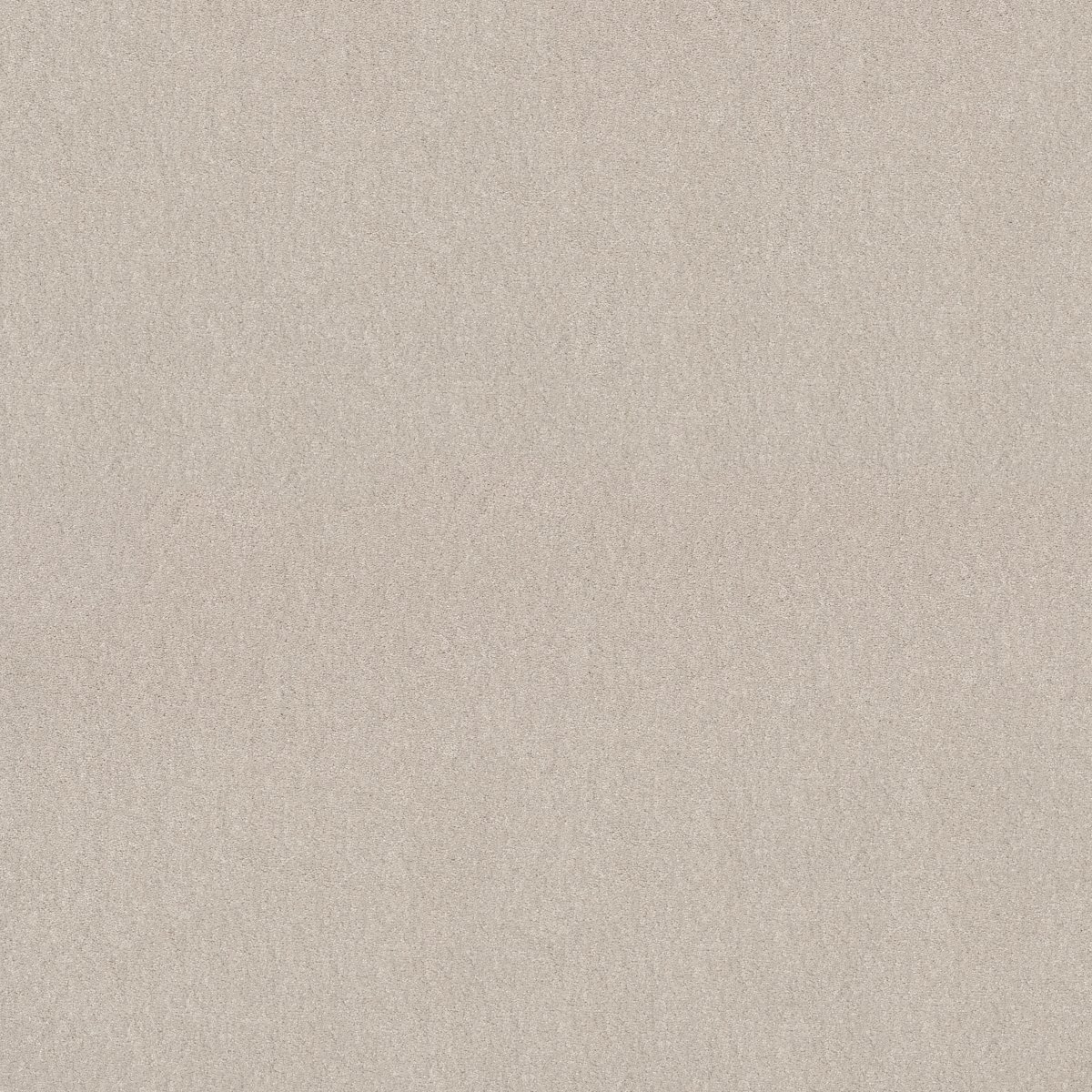 Shaw EASY SPIRIT III 12' carpet