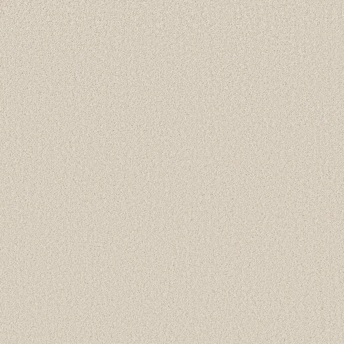 Shaw VELVET TOUCH I carpet