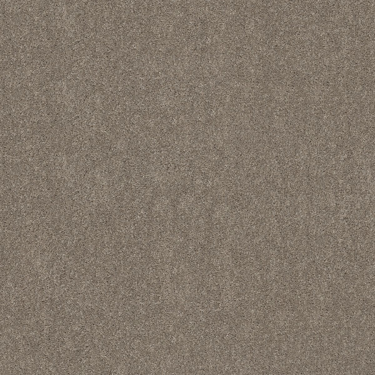 Shaw HOT TOPIC carpet