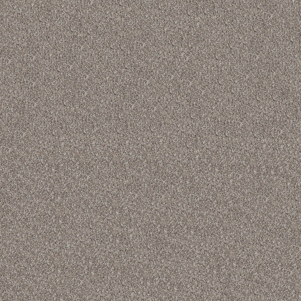 Shaw REFINED BEAUTY carpet