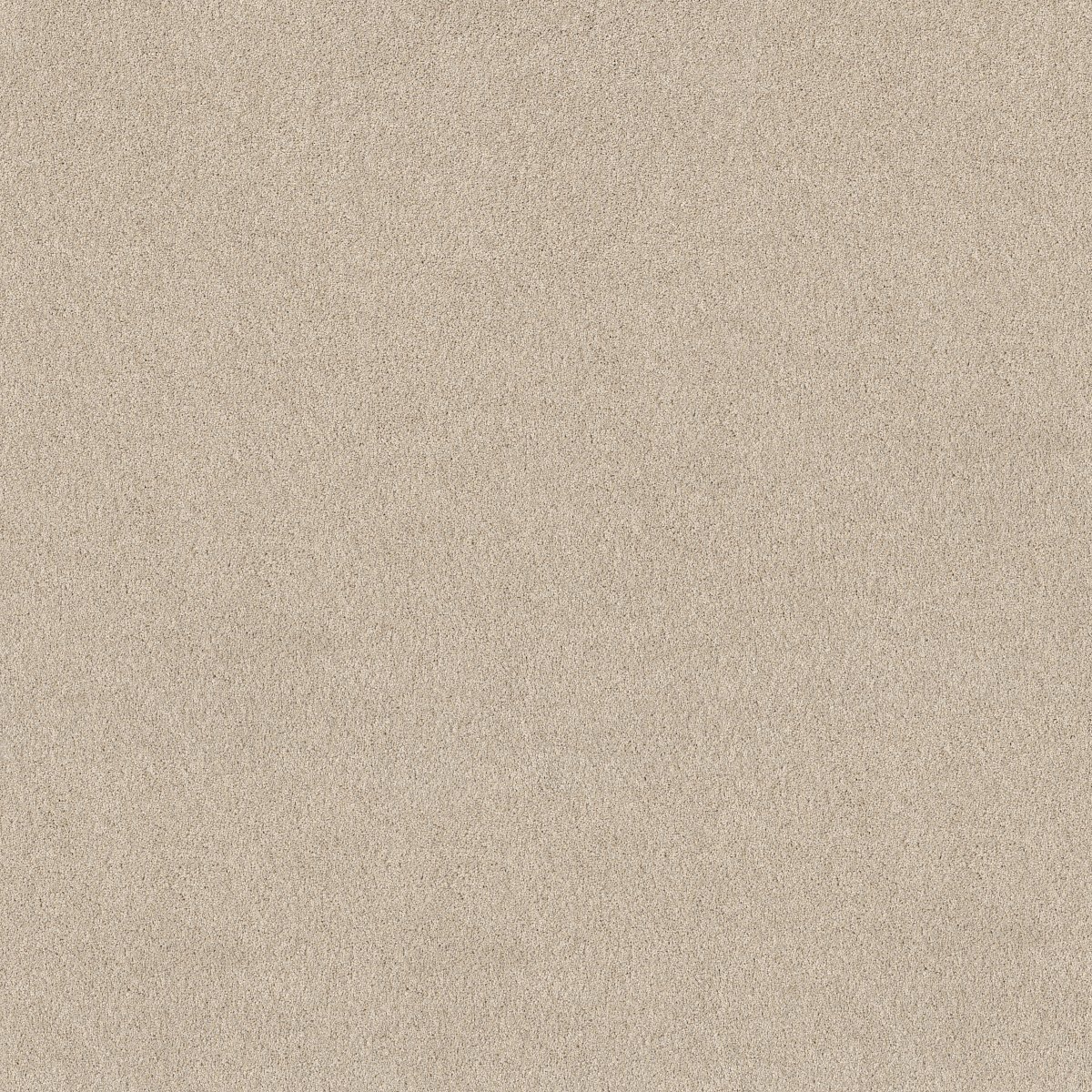 Shaw PURE AFFECTION T carpet