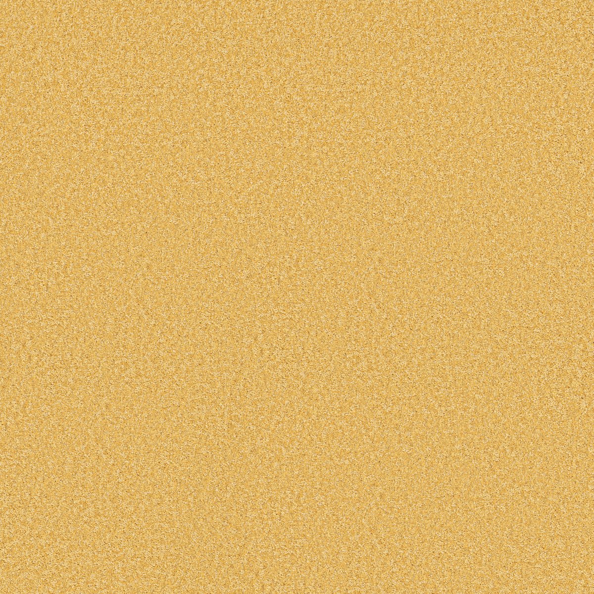 Shaw THE BRIGHT SIDE carpet