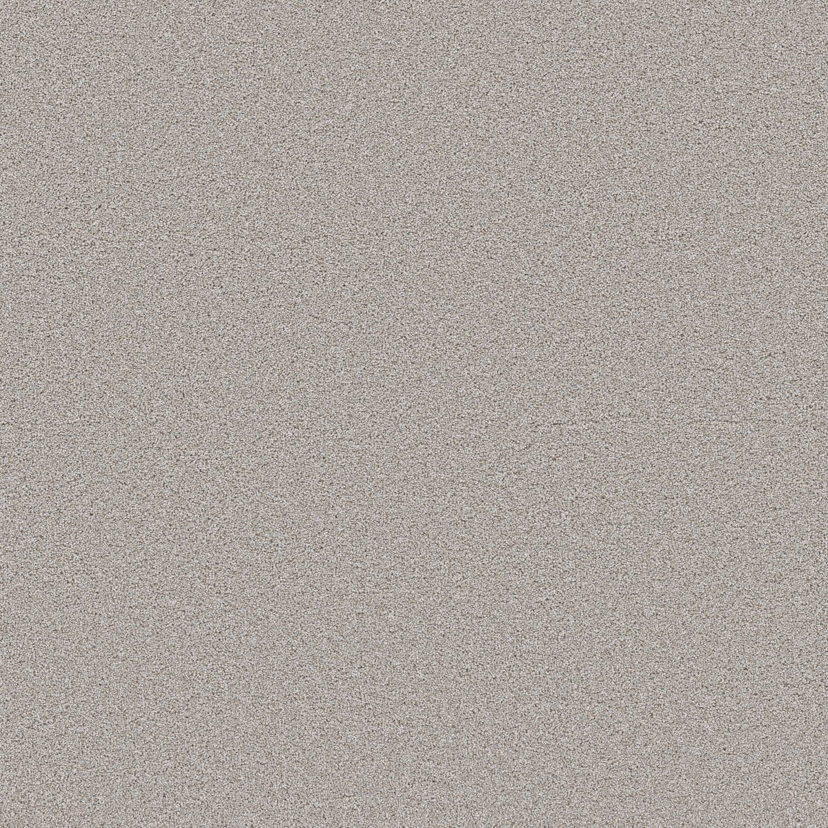 Shaw WONDERLAND III 12' carpet
