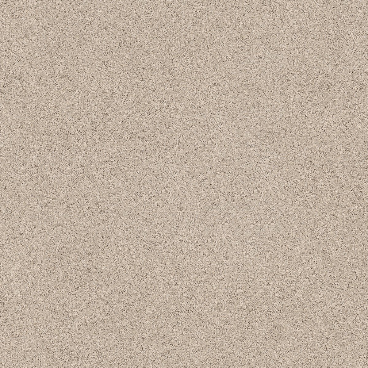 Shaw SECRET ADVENTURE carpet