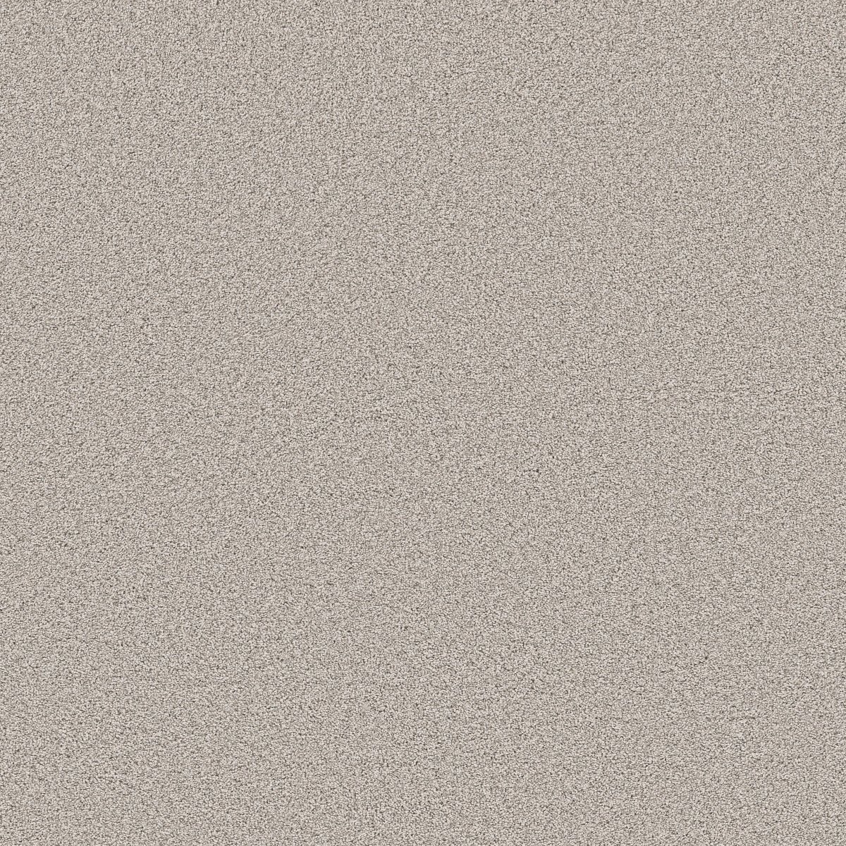 Shaw GRAND INFLUENCE III carpet