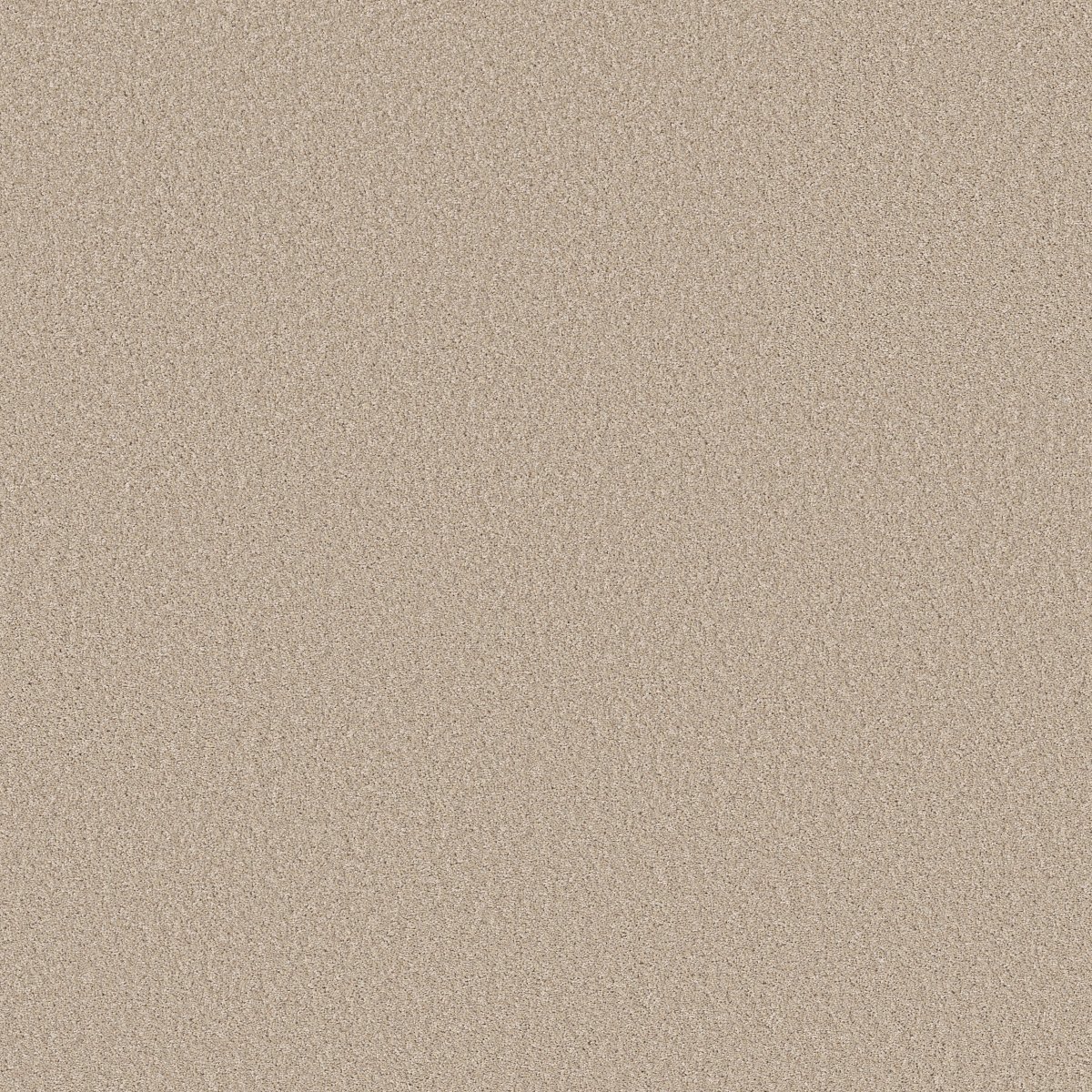 Shaw IMAGINABLE I carpet