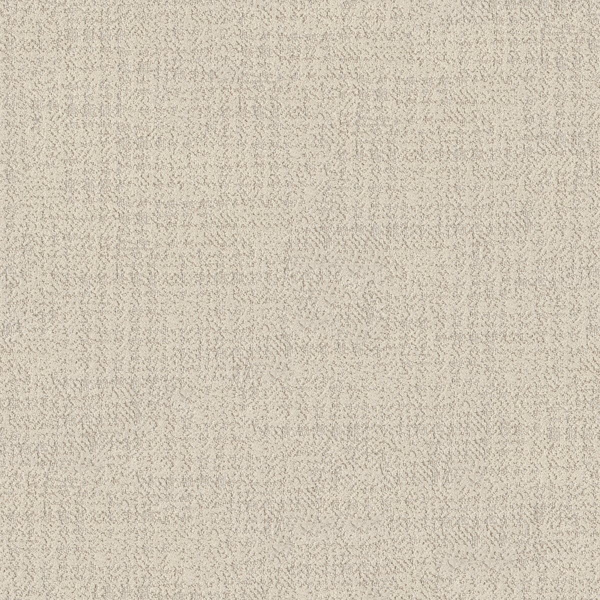 Shaw TAILORED CRAFT carpet