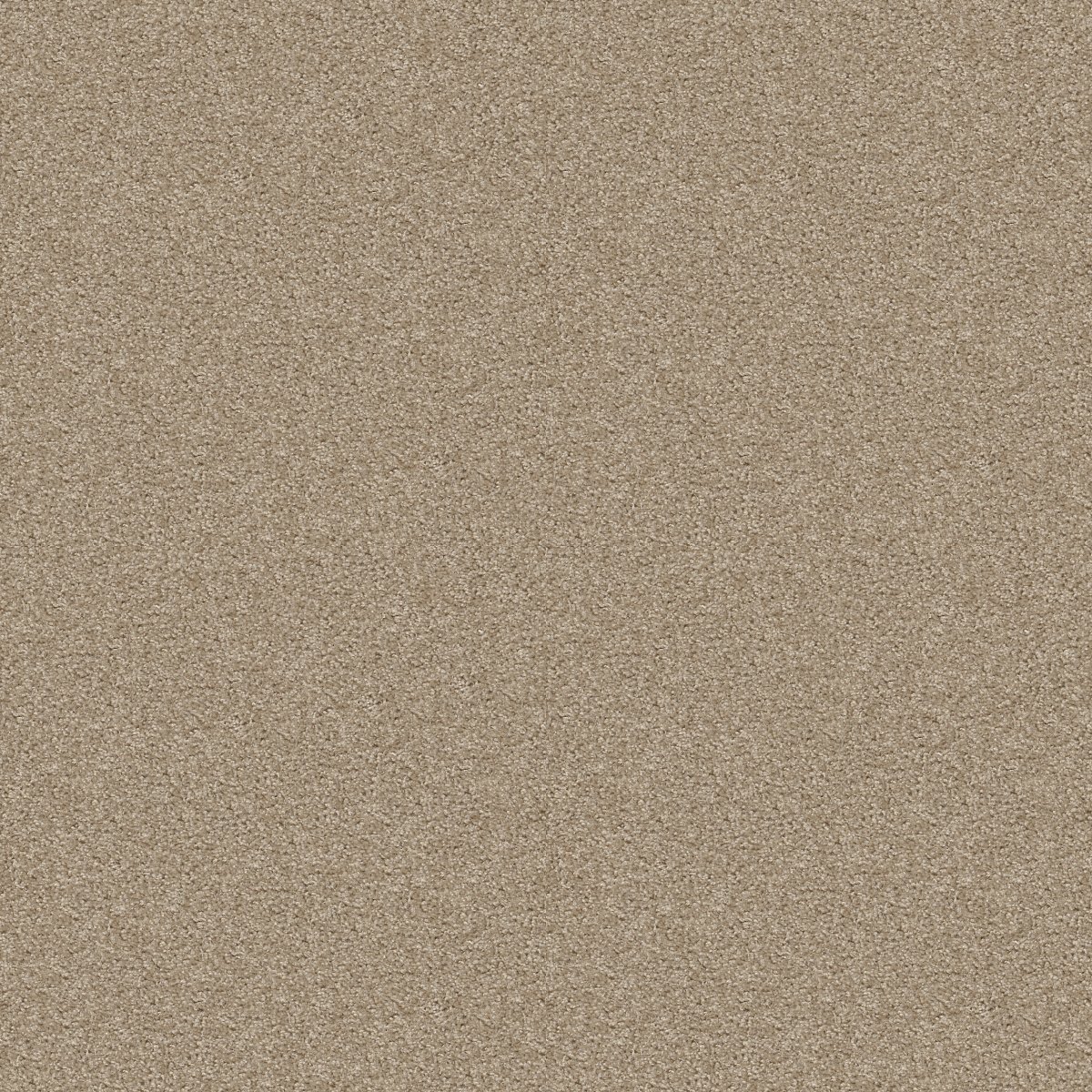 Shaw ONE OVER ALL carpet