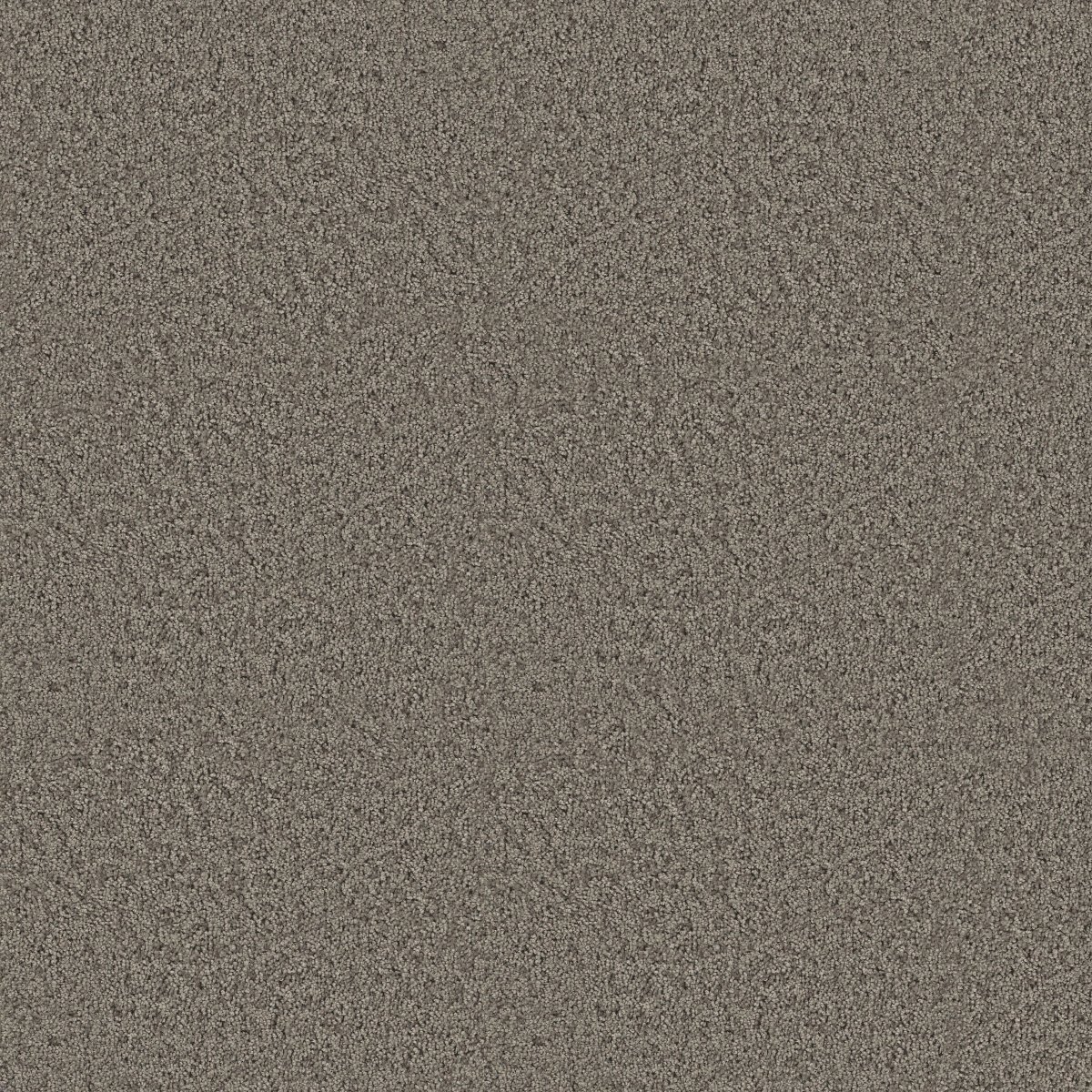 Shaw EXPECT MORE (S) carpet