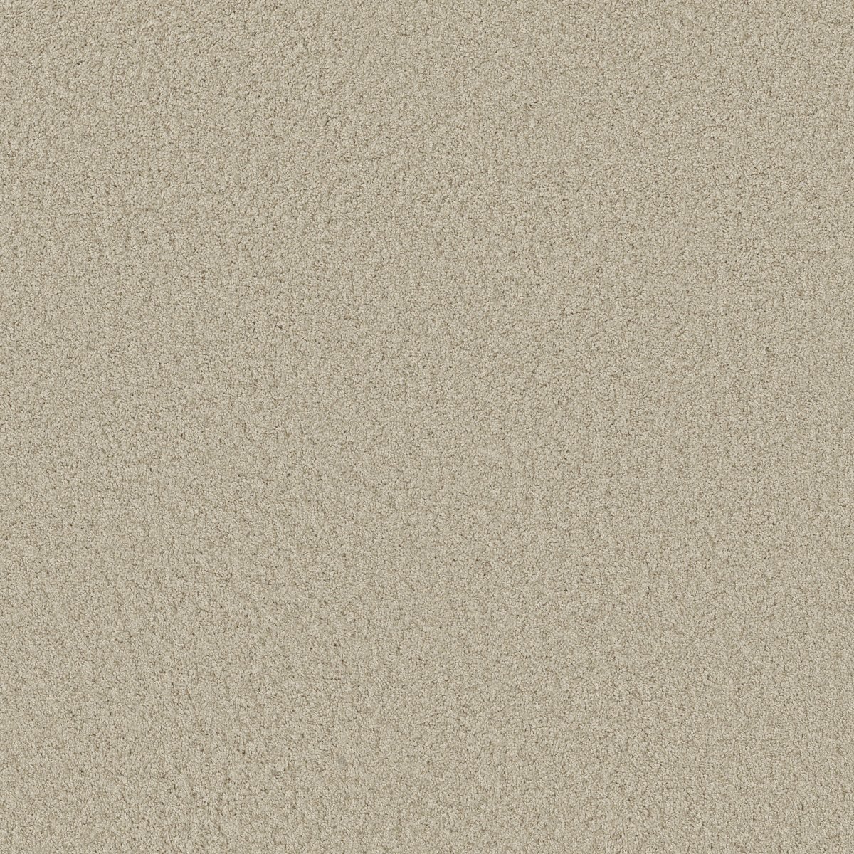 Shaw PARLAY carpet