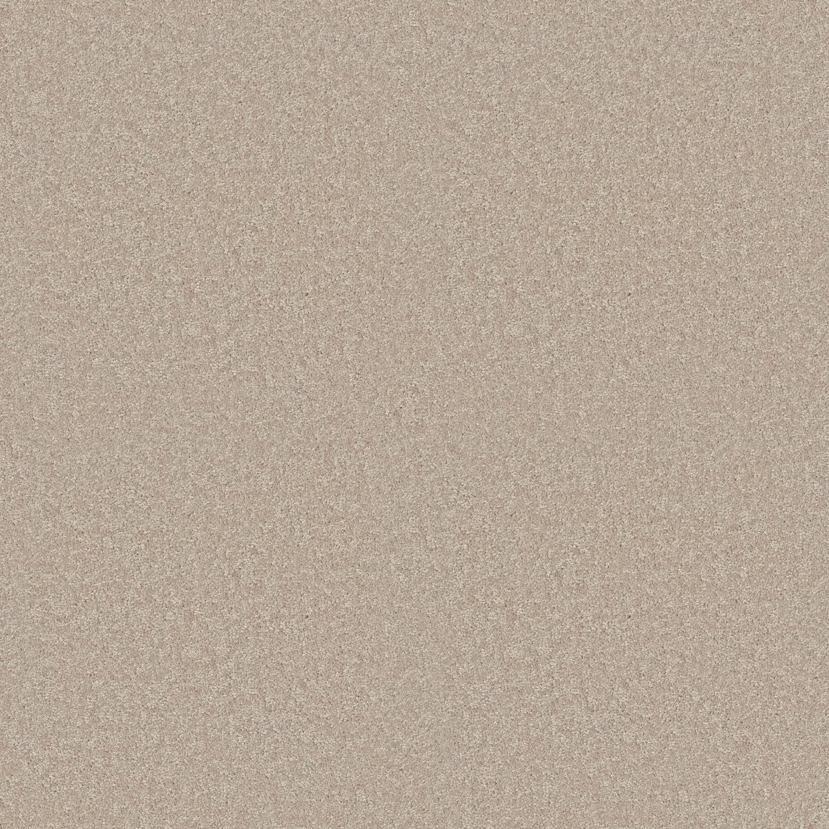 Shaw DYERSBURG CLASSIC 15' carpet