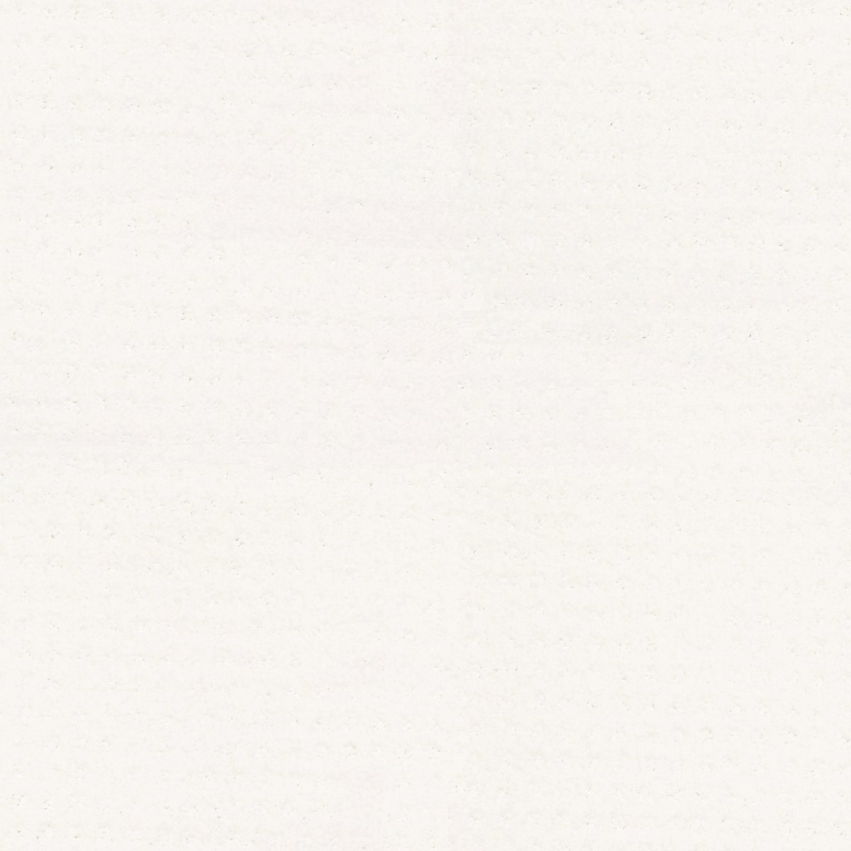 Shaw ALLURING DISPOSITION carpet