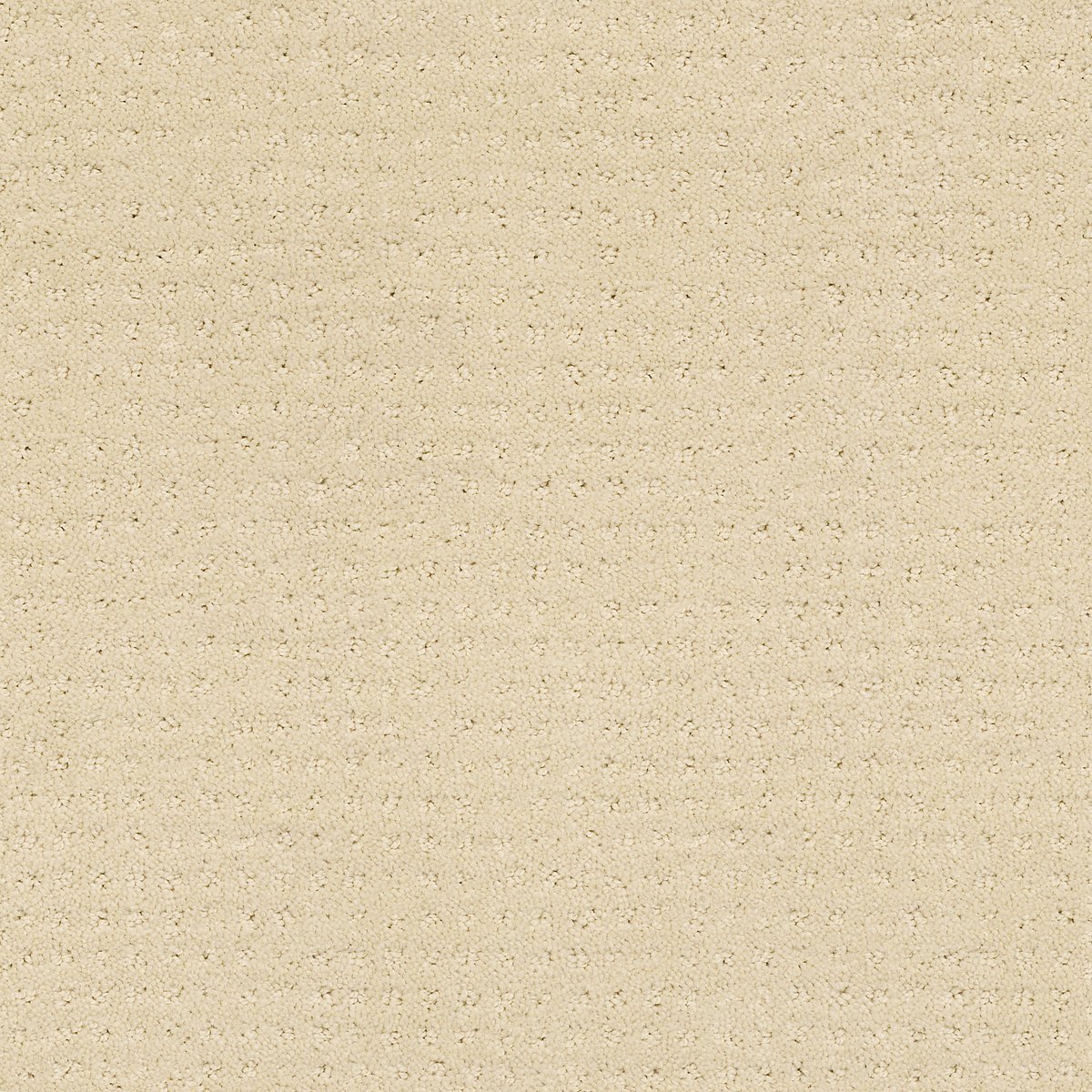 Shaw UNITY IV carpet