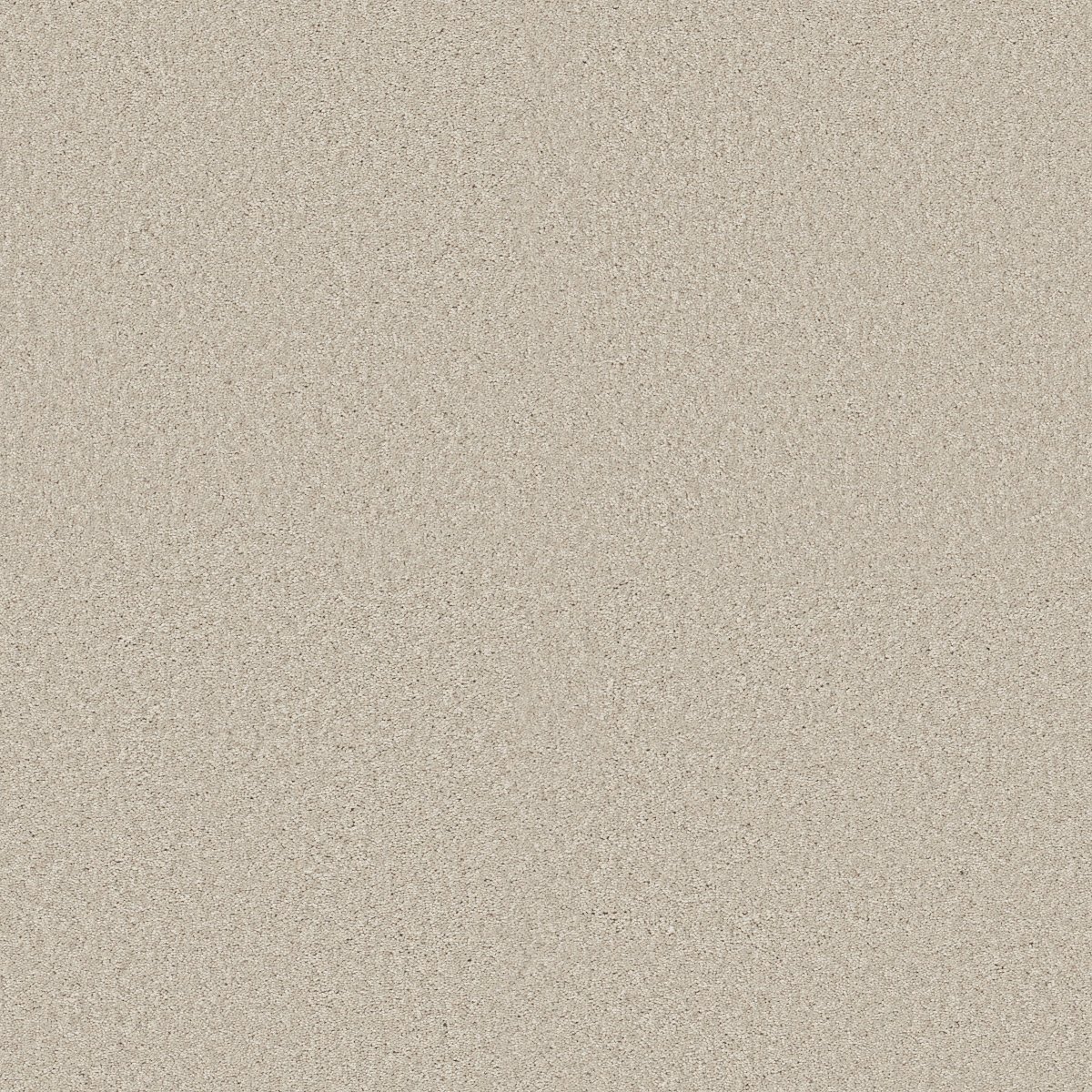 Shaw TURN THE PAGE II 12' carpet