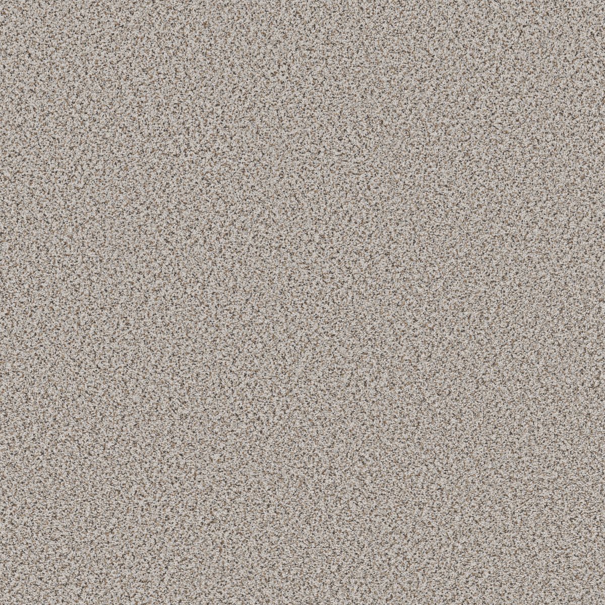 Shaw STRANDS OF NATURE I carpet