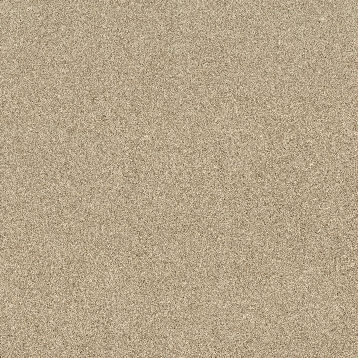 Shaw Find your comfort I - Tonal carpet