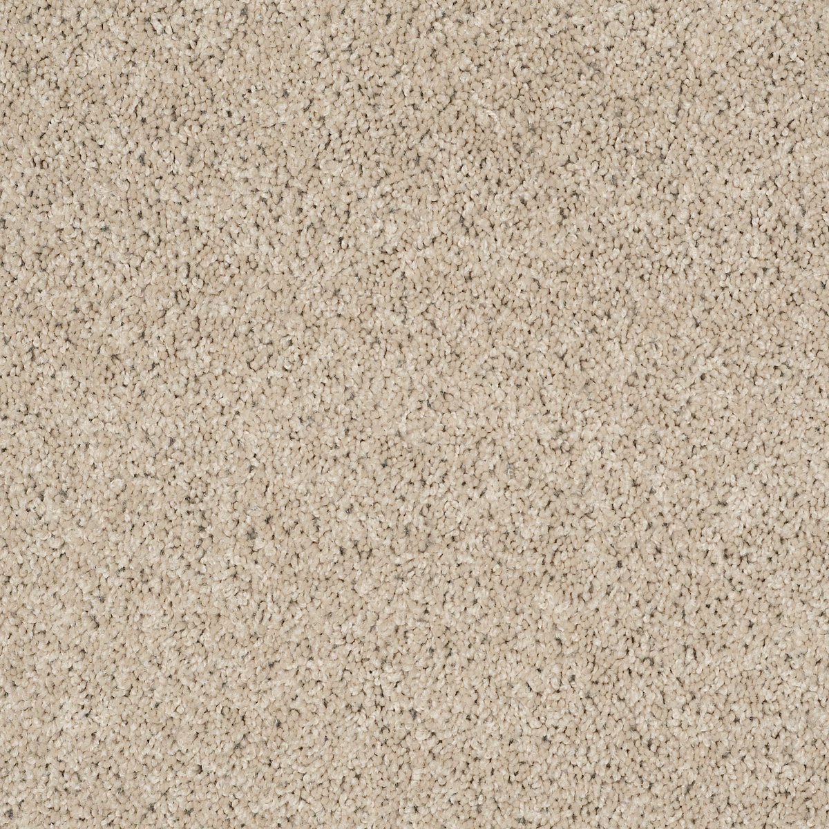 Shaw COMPLETE ALLURE (S) carpet