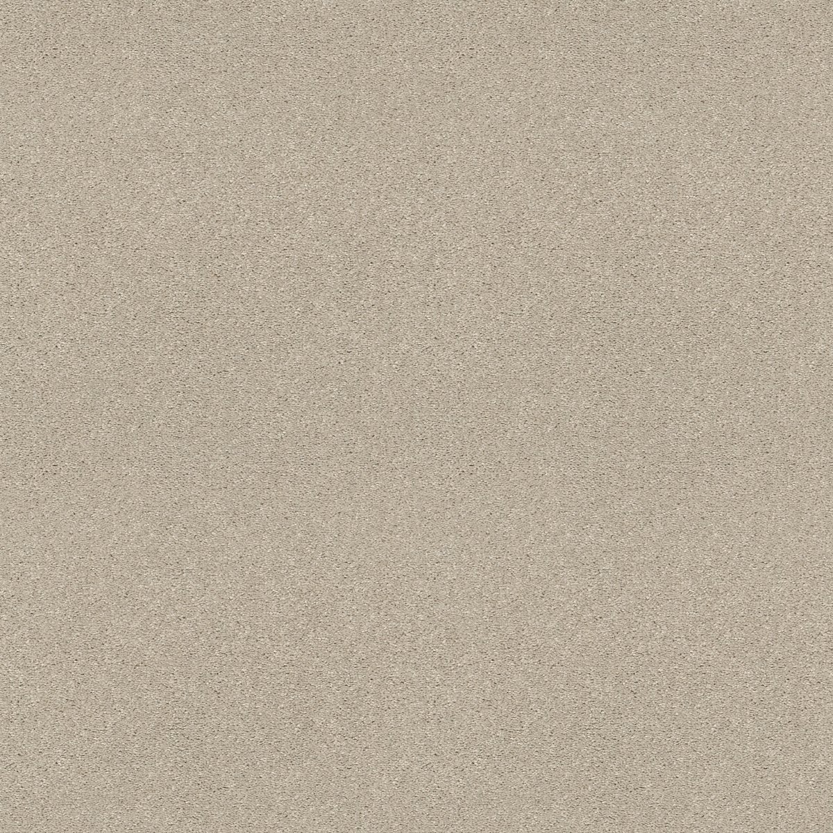 Shaw STEP RIGHT UP I 12' carpet