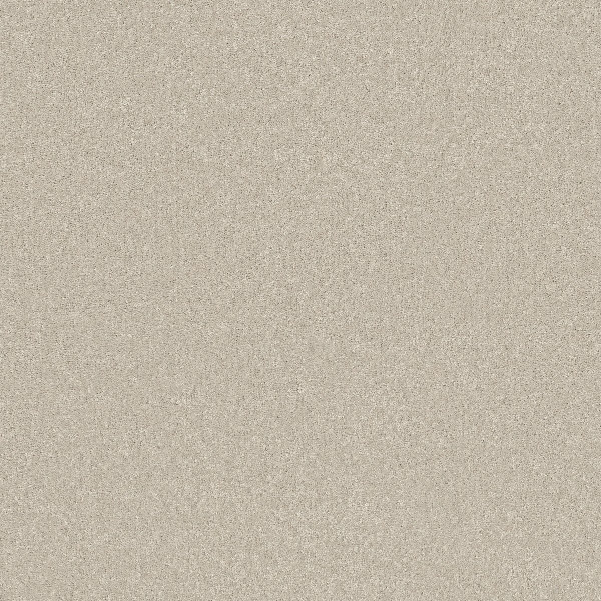 Shaw STEP RIGHT UP I 15' carpet