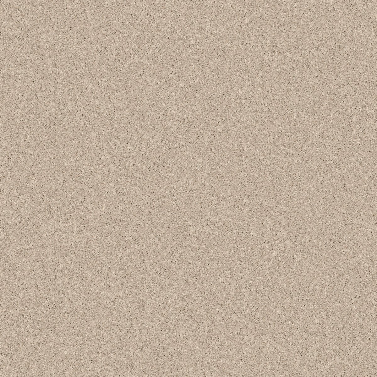 Shaw KNOCKOUT II 12' carpet