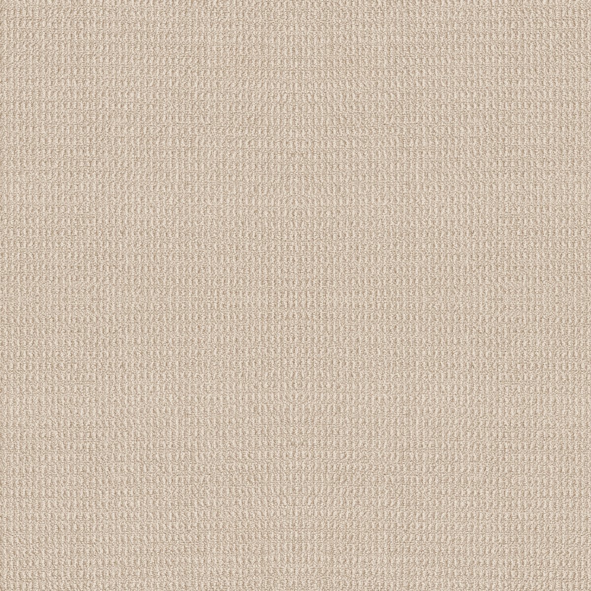 Shaw PORTOFINO carpet