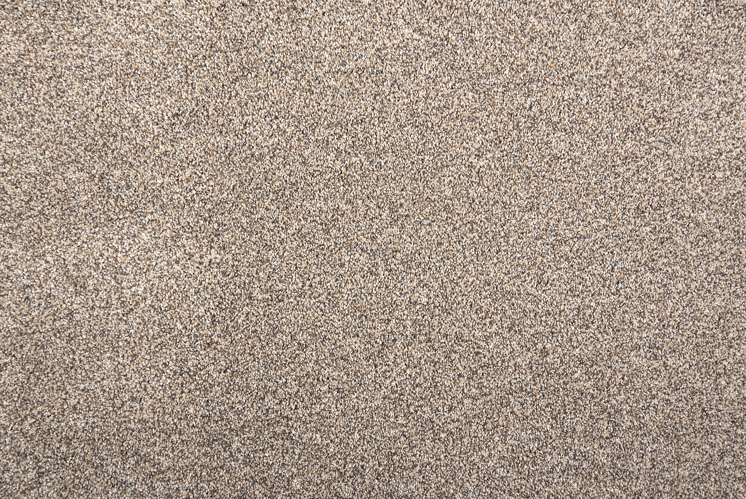 Stanton Brighton carpet