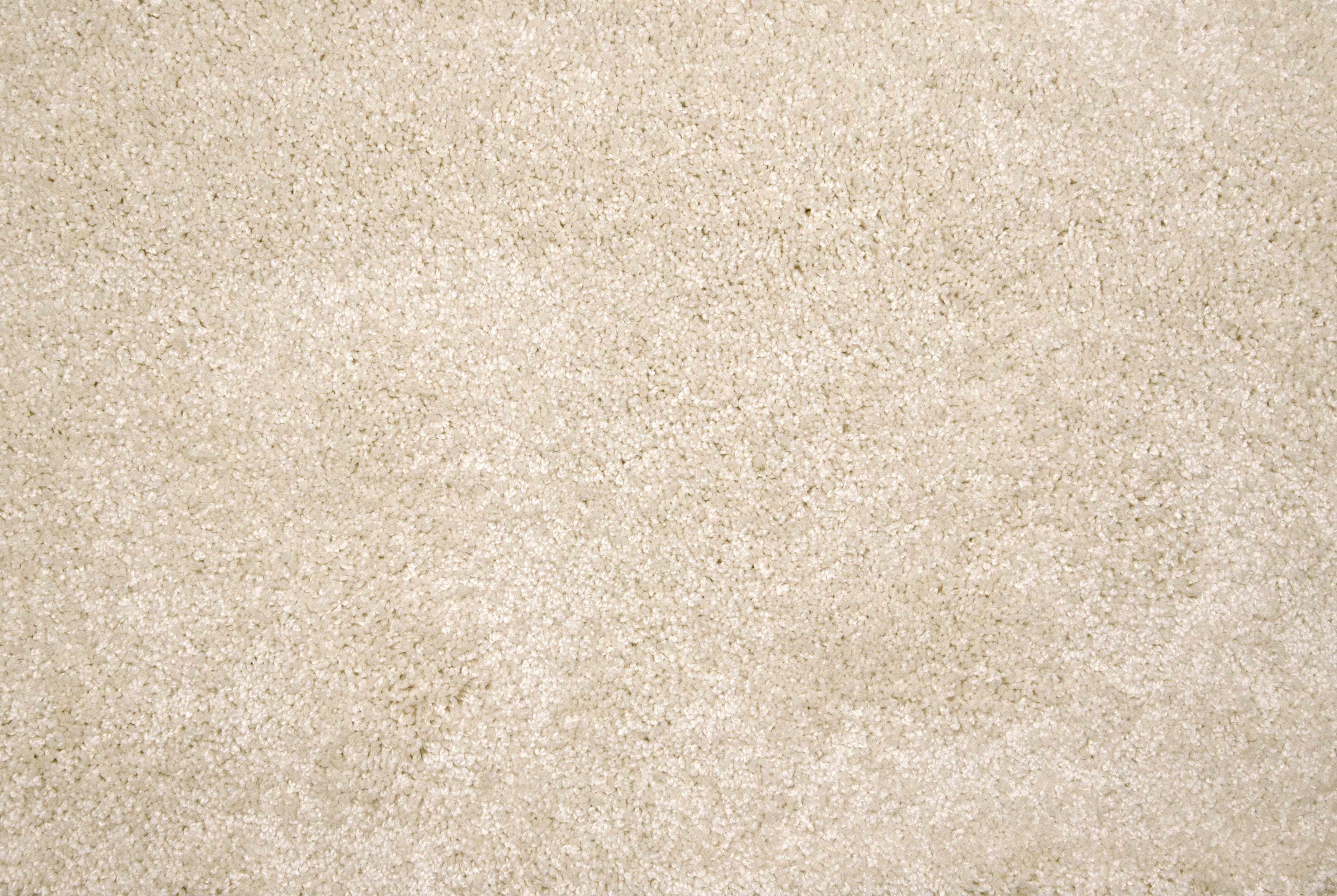 Stanton Grail carpet